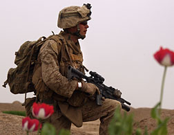A U.S. Marine in Afghanistan. Click image to expand.