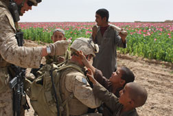 U.S. Marines In Afghanistan. Click image to expand.