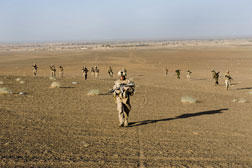 US Marines of 2nd Battalion 2 Marines of 2nd Marine Expeditionary Brigade walk back to their base in Afghanistan. Click image to expand.