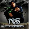 Nas, Hip-Hop Is Dead 