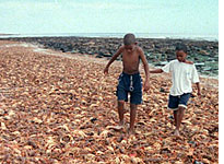 Click on image to expand. Red tide at morning, that's a warning.