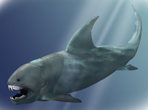 Dunkleosteus terrelli.
