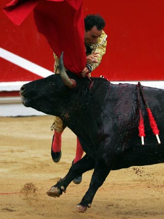 A bull goring.