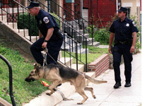 Police with a cadaver sniffing dog. Click image to expand.