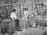 Moonshine. Click image to expand.