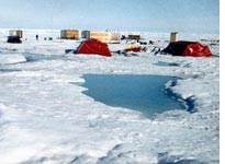 The arctic. Click image to expand.