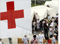 A Red Cross banner. Click image to expand