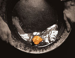 Gold in a miner's pan