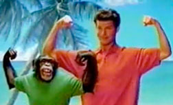 Travis the Chimp in an Old Navy commercial. Click image to expand.