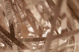 Shredded documents.
