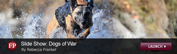 Click to launch a Foreign Policy slideshow on war dogs.