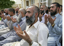 Freed terror detainees. Click image to expand.
