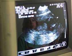 Ultrasound. Click image to expand.