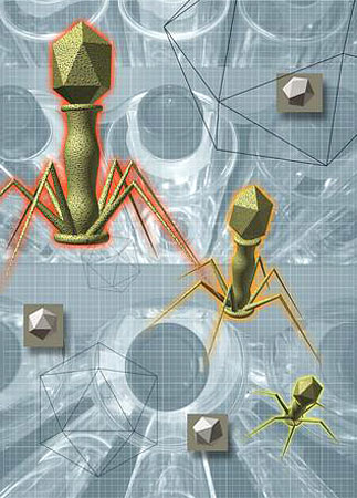 Illustration of a bacteriophage.