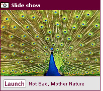 Click to view a slide show.