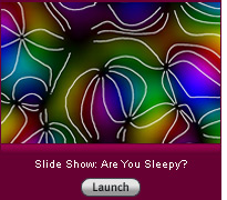 Click here to launch slide show