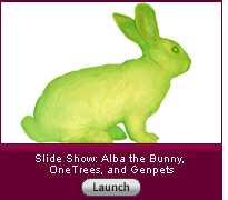 Click here to launch a slide show.