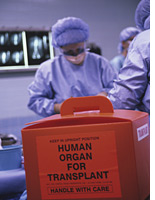 Organ donation. Click image to expand.