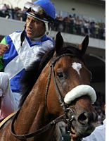 Jockey Edgar Prado and Barbaro. Click image to expand.