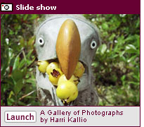 Photographs by Harri Kallio. Click here for a slide show.