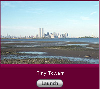Click here to see a slide show of photographs in which the World Trade Center appears.