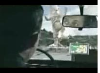 Garmin: Maposaurus