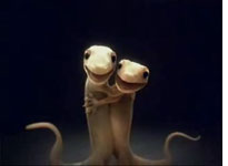 Shakespearean Gecko commercial