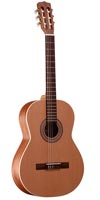 An acoustic guitar