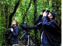 Birdwatchers keep a silent vigil for the park’s avifauna