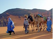 Marching home: the last legs of the trip