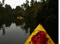 Kayaking up a narrow passage on the Okarito Lagoon. Click image to expand.