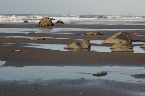 A beach near Oakura.