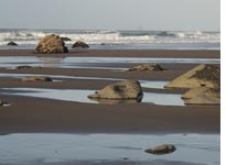 A beach near Oakura
Click image to expand.