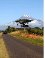 Mount Taranaki from a road near the Surf HighwayClick image to expand.