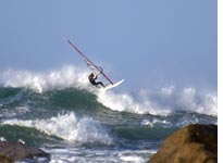 A wave sailor off of Taranaki
Click image to expand.