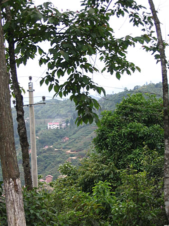 Every space that can be planted will be planted. Terraced hillsides help feed the local population.