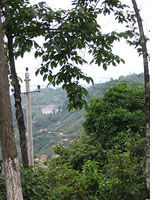 Every space that can be planted will be planted. Terraced hillsides help feed the local population.
Click image to expand.