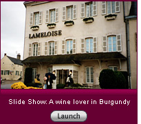 Click here to launch a slide show