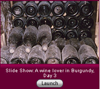 Click here to see a slide show