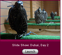 Click here for a slide show