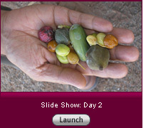 Click here to launch a slide show