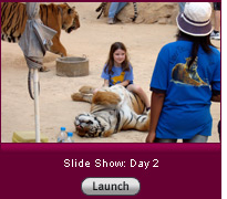 Click here to launch a slide show