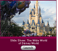 Click here to launch a slide show on the wide world of Disney World.
