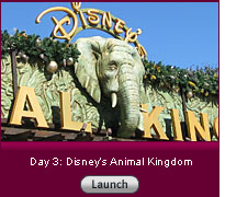 Click here to launch Day 3: Animal Kingdom