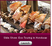 Click here to launch a slide show on eco-touring in Honduras.