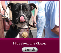 Click to view a slide show.