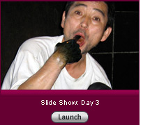Click here to launch a slide show on day 3.