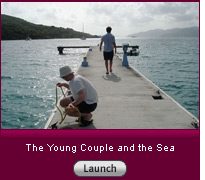 The Young Couple and the Sea. Click to launch.