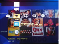 Sony Bravia Internet Video Link.