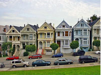 A row of painted ladies. Click image to expand.